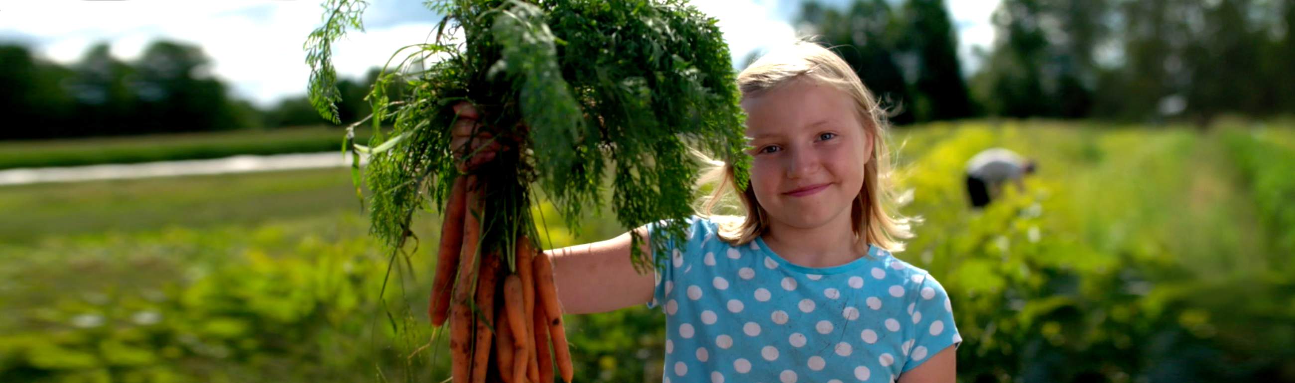 Home Ottawa Food Bank