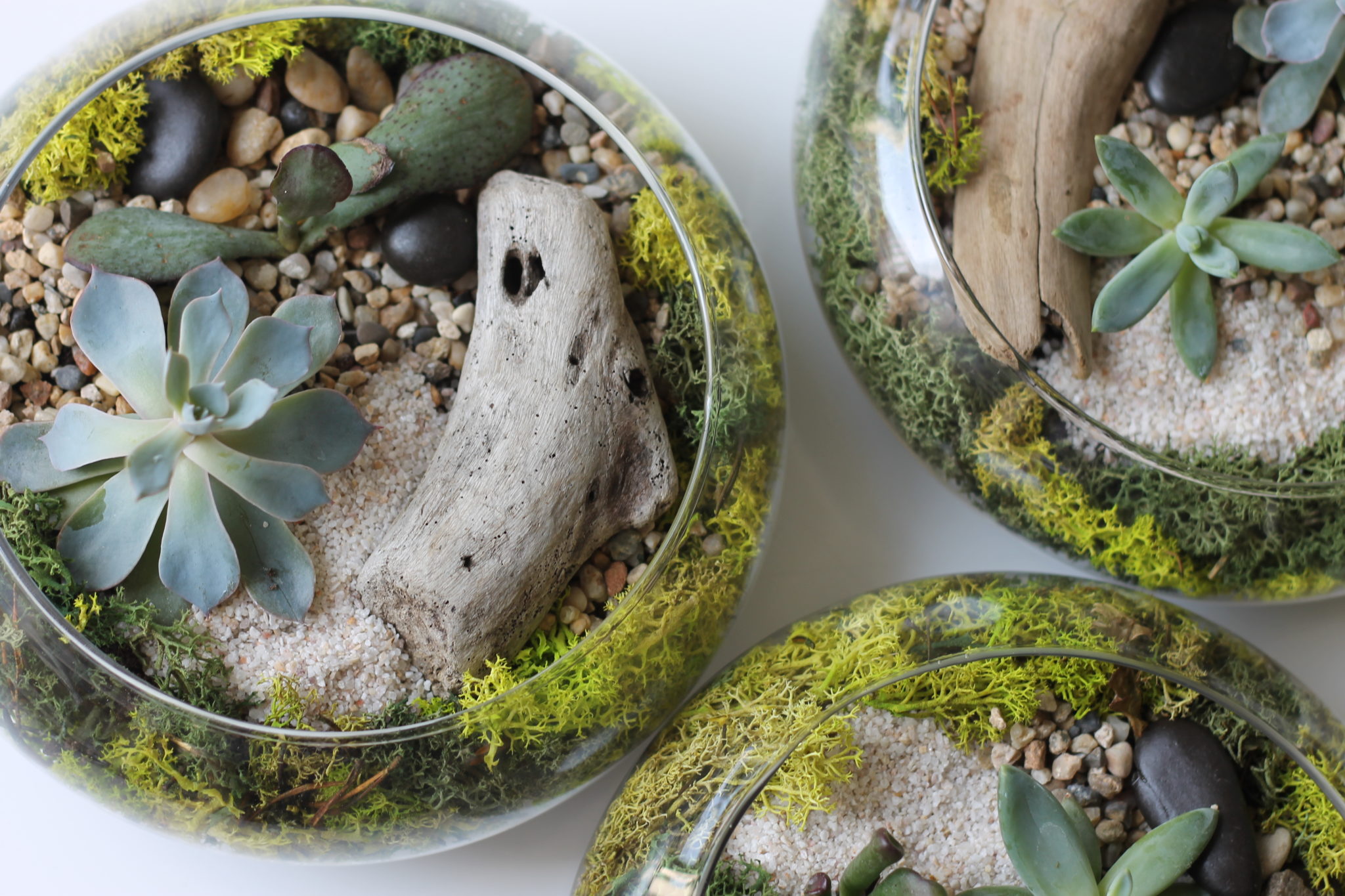 Make Change Custom Terrarium with The Urban Botanist Ottawa
