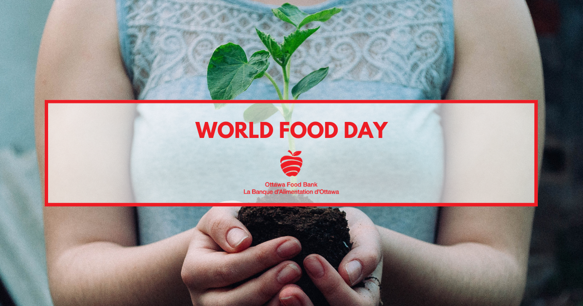 World Food Day 2020 Food insecurity action donation hunger