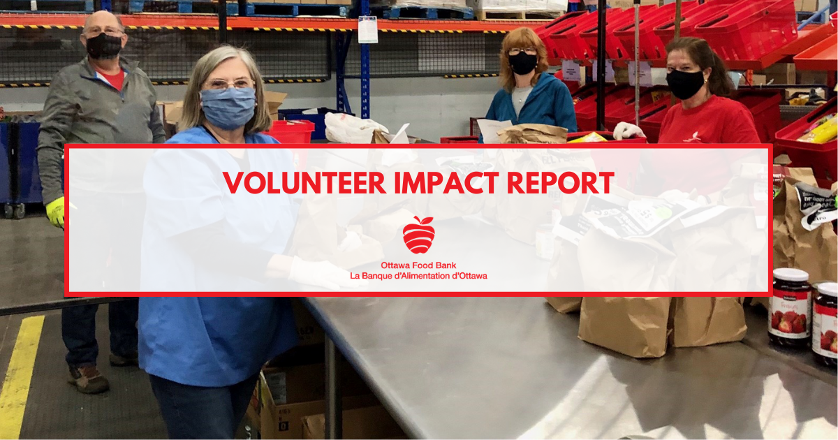 volunteer impact report