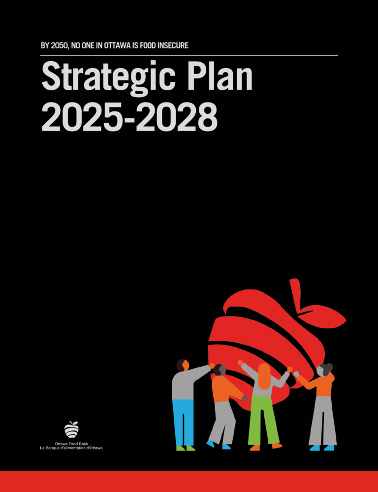 2025-2028 Strategic Plan Cover