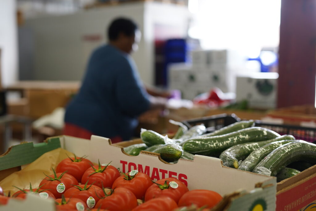 forced perspective shot of fresh produce
