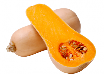 Butternut Squash