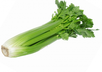 Celery