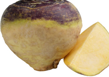 Rutabaga