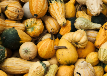 Screenshot 2025-12-05 132124