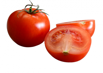 Tomato