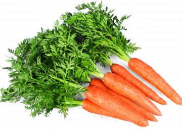 carrots