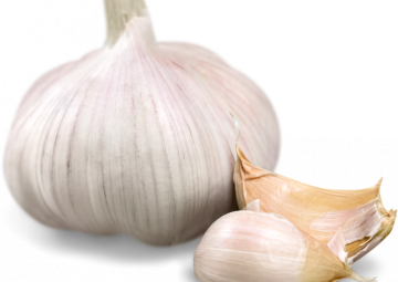 garlic