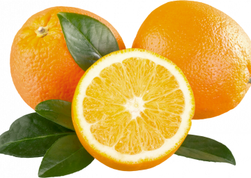 oranges