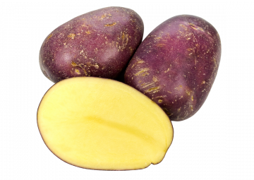 potato